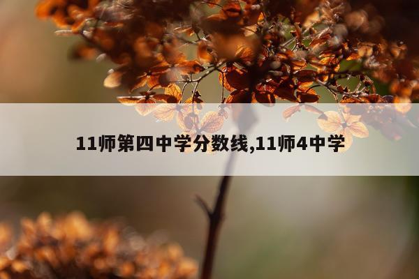 11师第四中学分数线,11师4中学