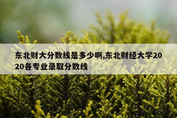 东北财大分数线是多少啊,东北财经大学2020各专业录取分数线