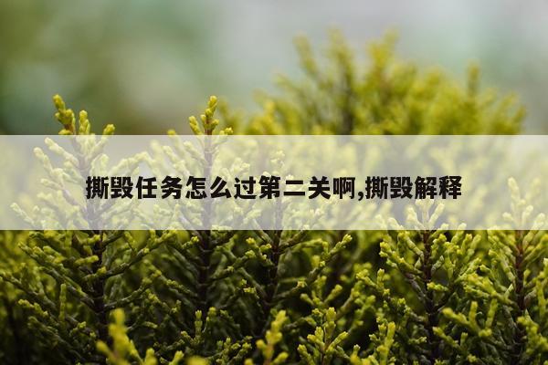 撕毁任务怎么过第二关啊,撕毁解释