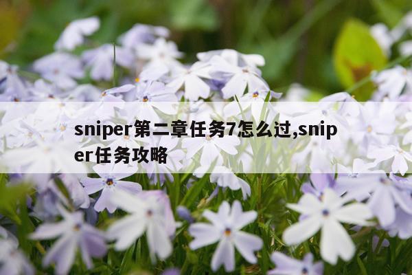 sniper第二章任务7怎么过,sniper任务攻略
