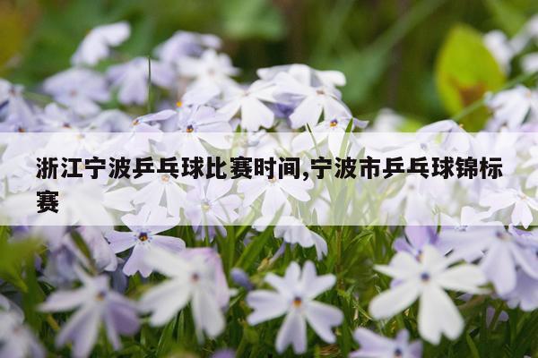浙江宁波乒乓球比赛时间,宁波市乒乓球锦标赛
