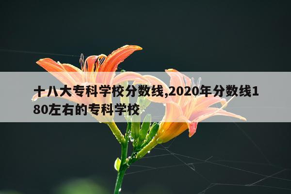 十八大专科学校分数线,2020年分数线180左右的专科学校