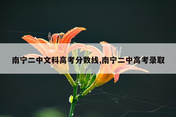 南宁二中文科高考分数线,南宁二中高考录取