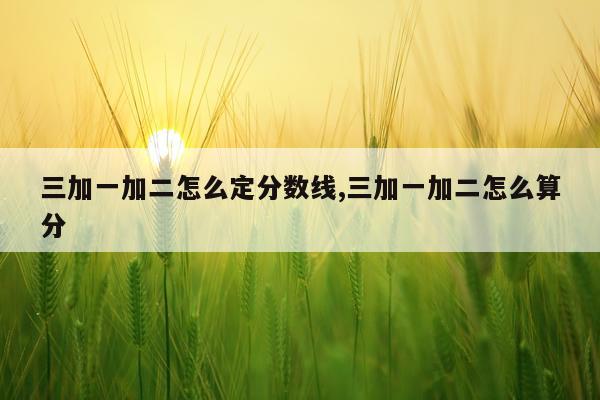 三加一加二怎么定分数线,三加一加二怎么算分
