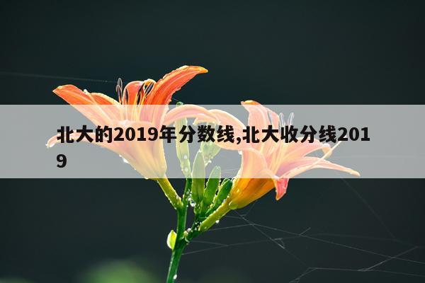 北大的2019年分数线,北大收分线2019