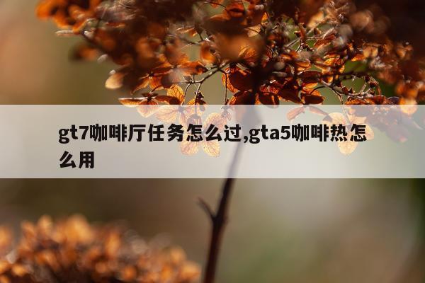 gt7咖啡厅任务怎么过,gta5咖啡热怎么用