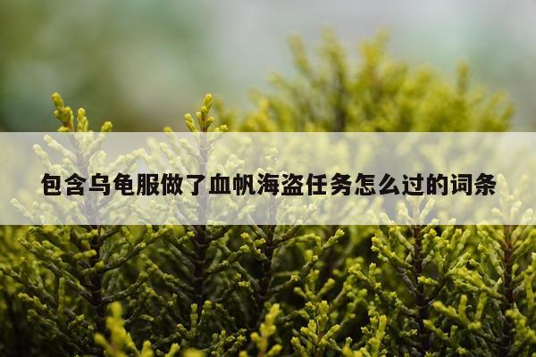 包含乌龟服做了血帆海盗任务怎么过的词条