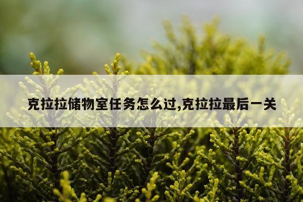 克拉拉储物室任务怎么过,克拉拉最后一关