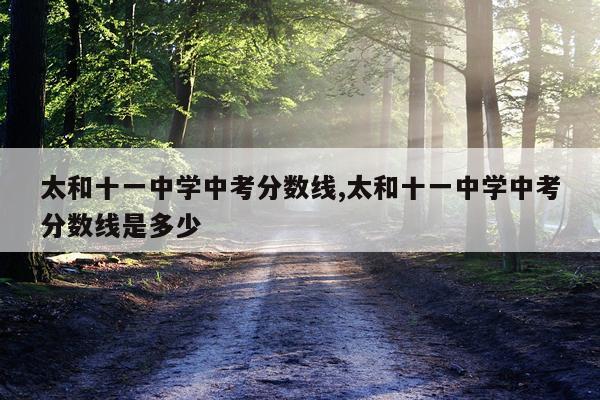 太和十一中学中考分数线,太和十一中学中考分数线是多少