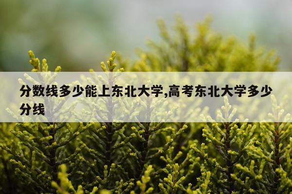 分数线多少能上东北大学,高考东北大学多少分线