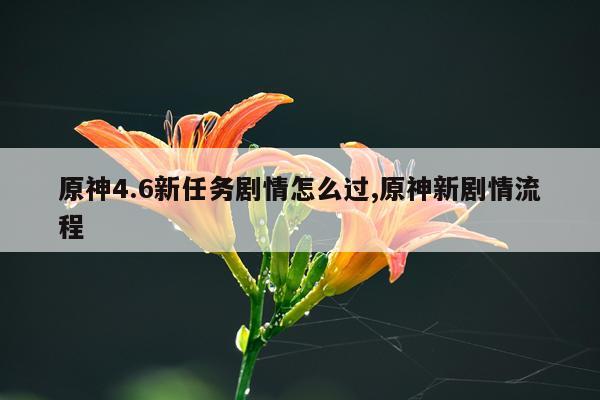 原神4.6新任务剧情怎么过,原神新剧情流程