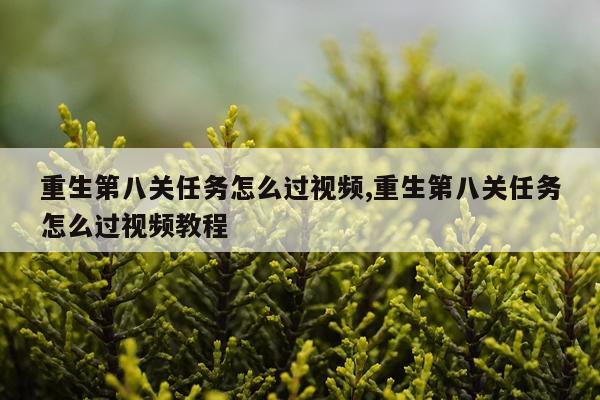 重生第八关任务怎么过视频,重生第八关任务怎么过视频教程