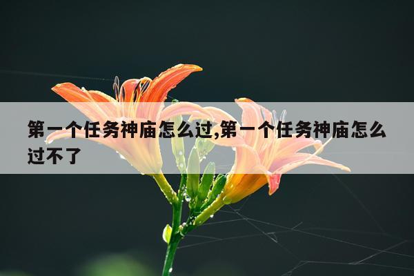 第一个任务神庙怎么过,第一个任务神庙怎么过不了