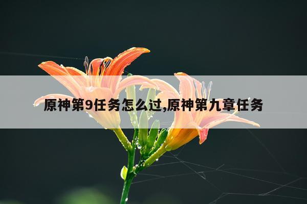 原神第9任务怎么过,原神第九章任务