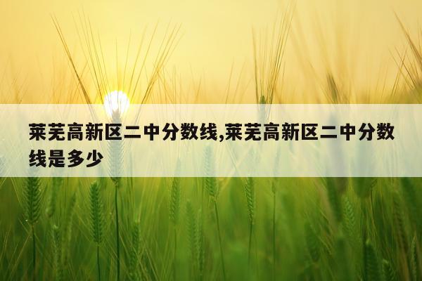 莱芜高新区二中分数线,莱芜高新区二中分数线是多少