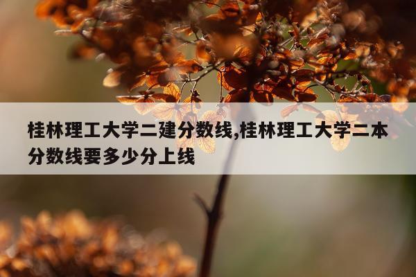 桂林理工大学二建分数线,桂林理工大学二本分数线要多少分上线