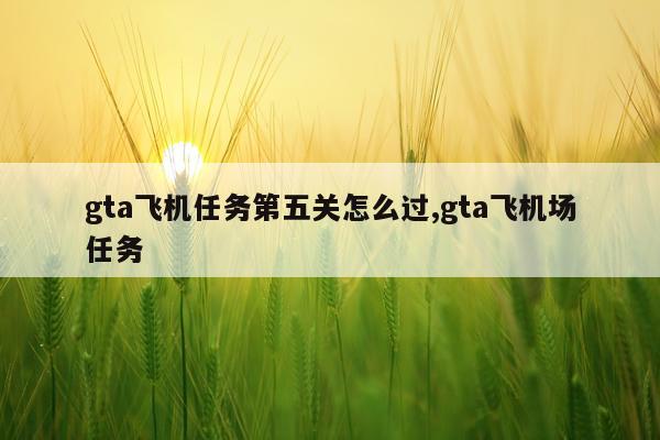 gta飞机任务第五关怎么过,gta飞机场任务