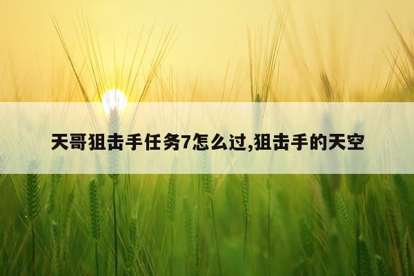 天哥狙击手任务7怎么过,狙击手的天空