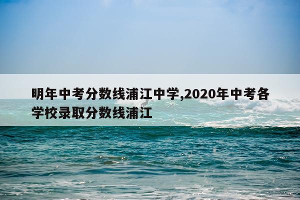 明年中考分数线浦江中学,2020年中考各学校录取分数线浦江
