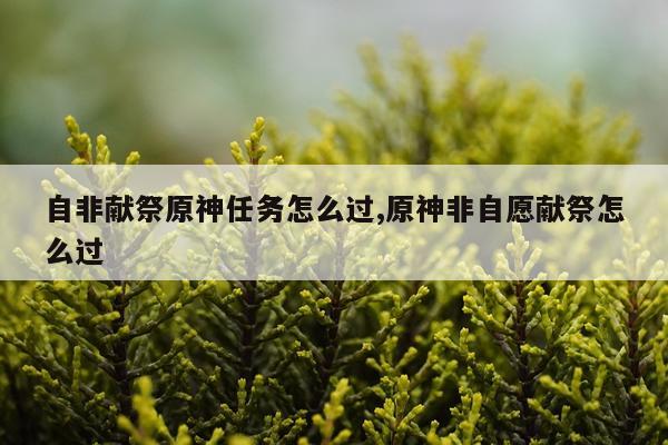 自非献祭原神任务怎么过,原神非自愿献祭怎么过