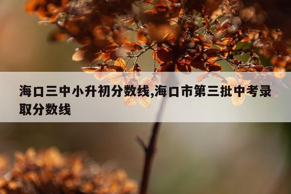 海口三中小升初分数线,海口市第三批中考录取分数线