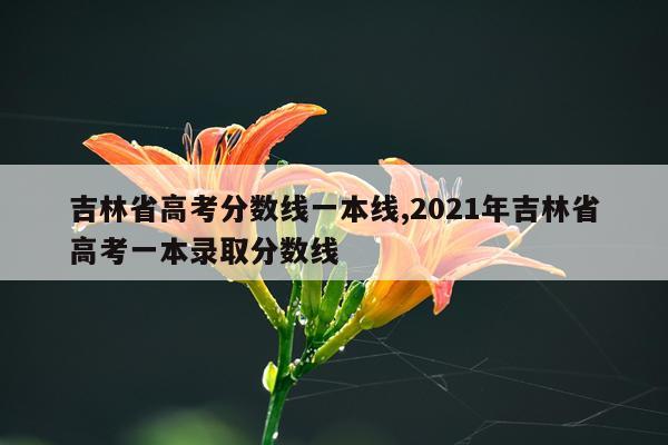 吉林省高考分数线一本线,2021年吉林省高考一本录取分数线