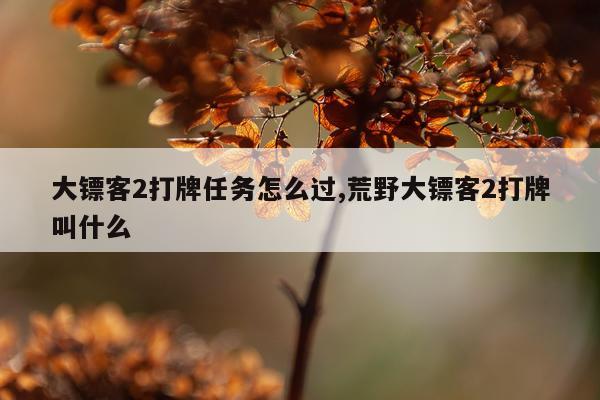 大镖客2打牌任务怎么过,荒野大镖客2打牌叫什么