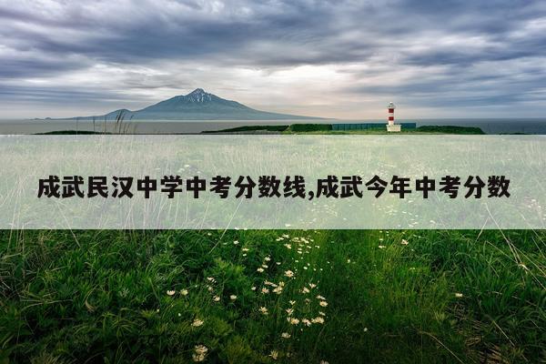 成武民汉中学中考分数线,成武今年中考分数