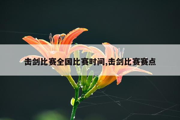 击剑比赛全国比赛时间,击剑比赛赛点
