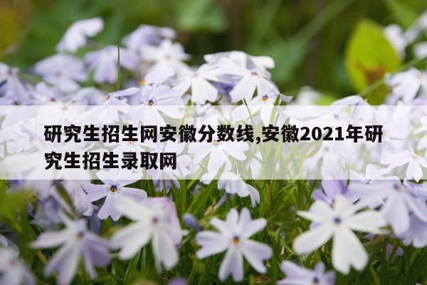 研究生招生网安徽分数线,安徽2021年研究生招生录取网