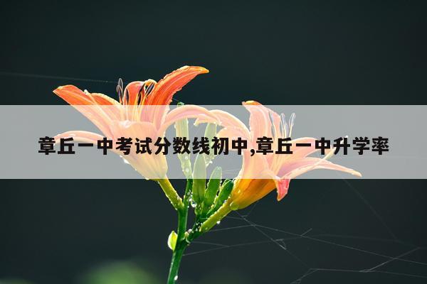 章丘一中考试分数线初中,章丘一中升学率