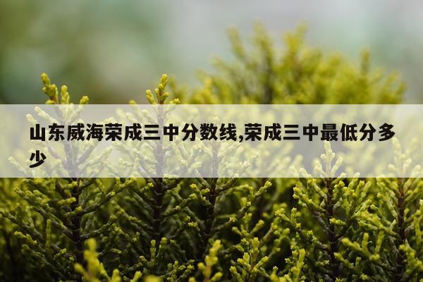 山东威海荣成三中分数线,荣成三中最低分多少