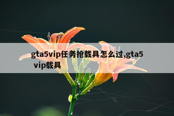 gta5vip任务抢载具怎么过,gta5 vip载具