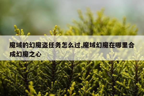 魔域的幻魔盗任务怎么过,魔域幻魔在哪里合成幻魔之心
