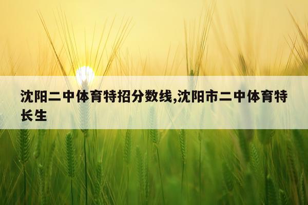 沈阳二中体育特招分数线,沈阳市二中体育特长生