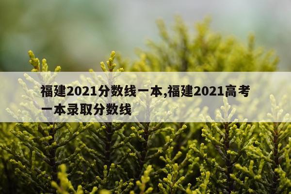 福建2021分数线一本,福建2021高考一本录取分数线