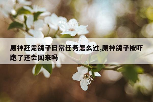 原神赶走鸽子日常任务怎么过,原神鸽子被吓跑了还会回来吗