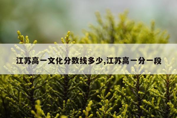 江苏高一文化分数线多少,江苏高一分一段