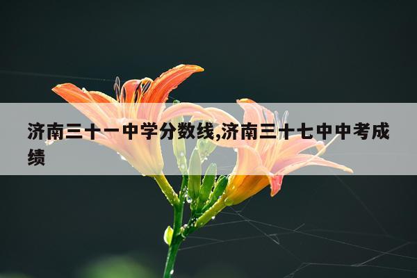 济南三十一中学分数线,济南三十七中中考成绩