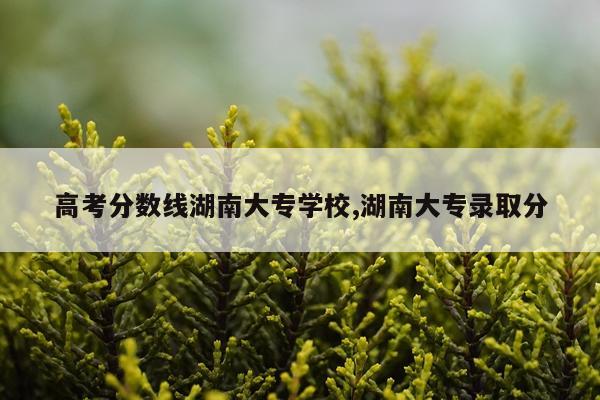 高考分数线湖南大专学校,湖南大专录取分
