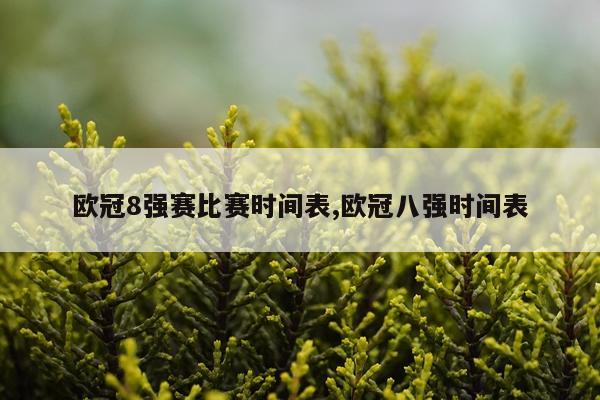 欧冠8强赛比赛时间表,欧冠八强时间表