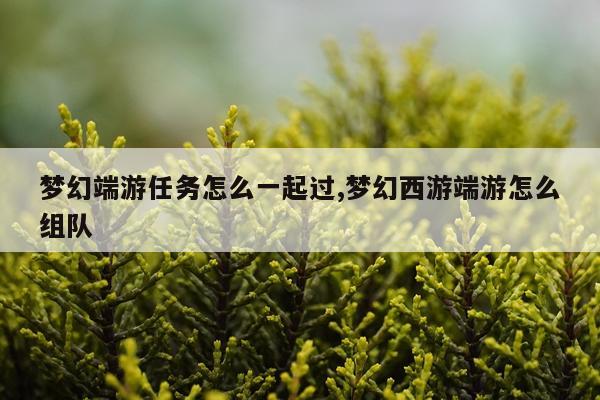 梦幻端游任务怎么一起过,梦幻西游端游怎么组队
