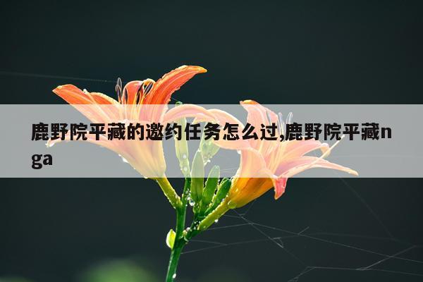 鹿野院平藏的邀约任务怎么过,鹿野院平藏nga