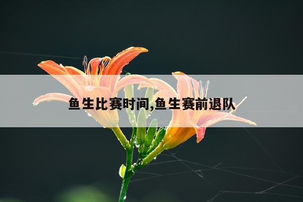 鱼生比赛时间,鱼生赛前退队
