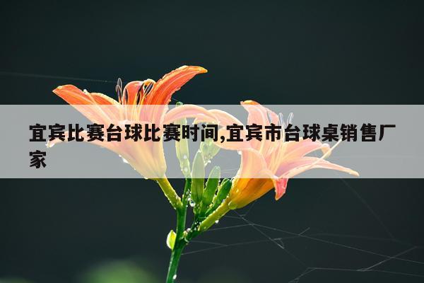 宜宾比赛台球比赛时间,宜宾市台球桌销售厂家