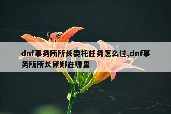 dnf事务所所长委托任务怎么过,dnf事务所所长黛娜在哪里