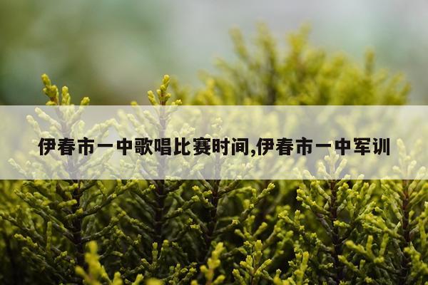 伊春市一中歌唱比赛时间,伊春市一中军训