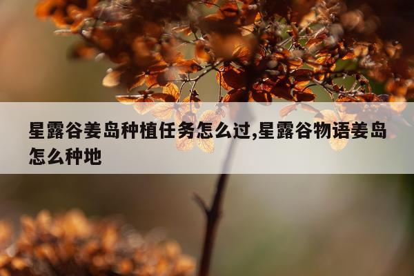 星露谷姜岛种植任务怎么过,星露谷物语姜岛怎么种地