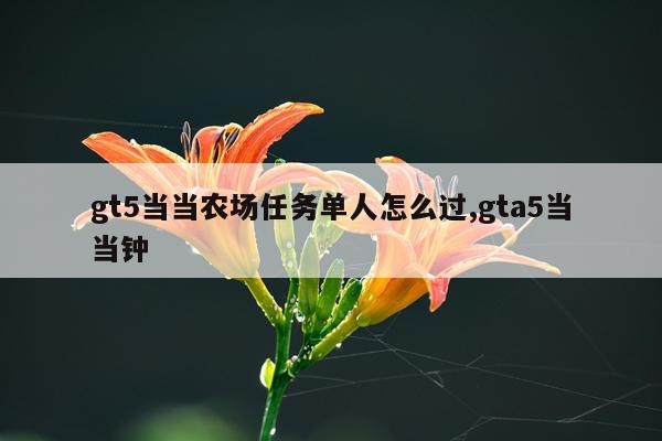 gt5当当农场任务单人怎么过,gta5当当钟