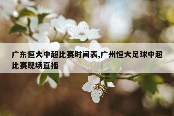 广东恒大中超比赛时间表,广州恒大足球中超比赛现场直播